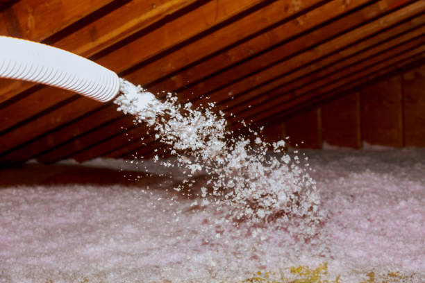 Best Insulation Repair Services  in Lititz, PA
