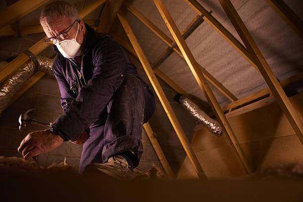 Best Insulation Contractor Near Me  in Lititz, PA